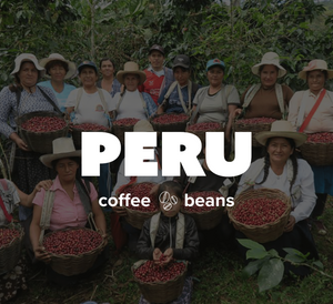 5LB Specialty Whole Bean and Ground Coffee Supreme Finest Artisan for Drips Cold Brew Espresso French Press Dark Medium Light Roast from Vanuatu Sumatra Ethiopia Brazil Kenya Colombia Guatemala Burundi Costa Rica Indonesia Java El Salvador Honduras etc