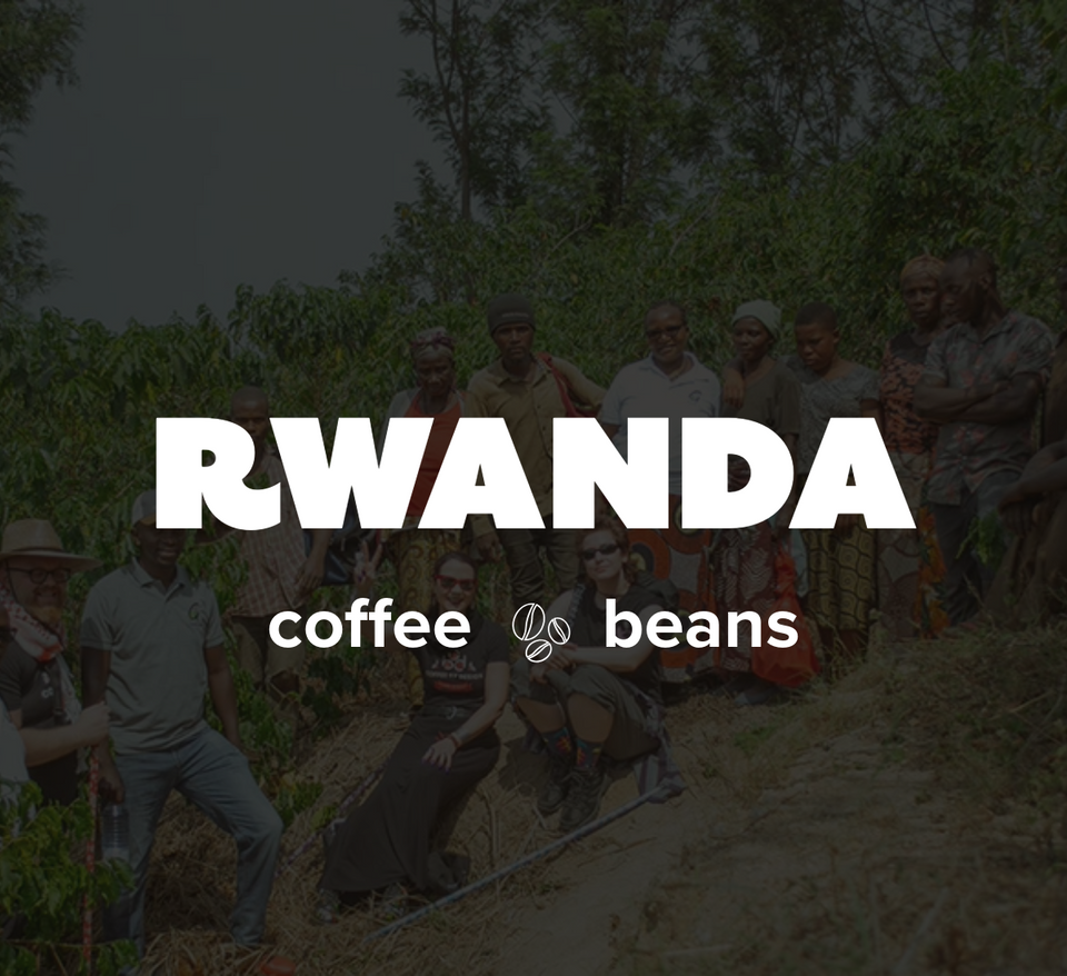 16 OZ Specialty Whole Bean and Ground Coffee Supreme Finest Artisan for Drips Cold Brew Espresso French Press Dark Medium Light Roast from Vanuatu Sumatra Ethiopia Brazil Kenya Colombia Guatemala Burundi Costa Rica East Java El Salvador Honduras etc