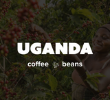 36OZ Random 6 x 6 OZ Sample Size Coffee Beans Roasted Espresso Coffee Supreme Finest Artisan Beans vary from Vanuatu Sumatra Ethiopia  Brazil Kenya Colombia Guatemala Burundi Costa Rica East Java El Salvador Honduras etc