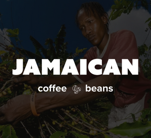 36OZ Random 6 x 6 OZ Sample Size Coffee Beans Roasted Espresso Coffee Supreme Finest Artisan Beans vary from Vanuatu Sumatra Ethiopia  Brazil Kenya Colombia Guatemala Burundi Costa Rica East Java El Salvador Honduras etc