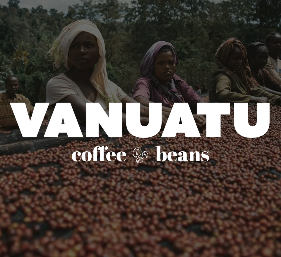 32 OZ 2LB Specialty Whole Bean and Ground Coffee Supreme Finest Artisan for Drips Cold Brew Espresso French Press Dark Medium Light Roast from Vanuatu Sumatra Ethiopia Brazil Kenya Colombia Guatemala Burundi Costa Rica East Java El Salvador Honduras etc