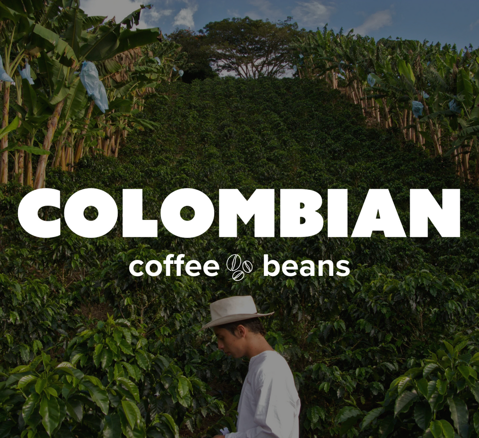 32 OZ 2LB Specialty Whole Bean and Ground Coffee Supreme Finest Artisan for Drips Cold Brew Espresso French Press Dark Medium Light Roast from Vanuatu Sumatra Ethiopia Brazil Kenya Colombia Guatemala Burundi Costa Rica East Java El Salvador Honduras etc