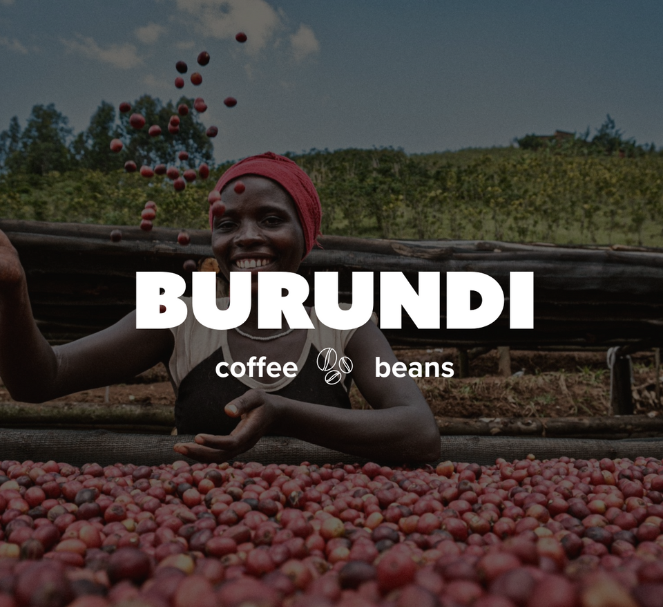 16 OZ Specialty Whole Bean and Ground Coffee Supreme Finest Artisan for Drips Cold Brew Espresso French Press Dark Medium Light Roast from Vanuatu Sumatra Ethiopia Brazil Kenya Colombia Guatemala Burundi Costa Rica East Java El Salvador Honduras etc