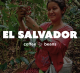 36OZ Random 6 x 6 OZ Sample Size Coffee Beans Roasted Espresso Coffee Supreme Finest Artisan Beans vary from Vanuatu Sumatra Ethiopia  Brazil Kenya Colombia Guatemala Burundi Costa Rica East Java El Salvador Honduras etc
